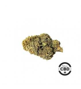 Fleur CBD Rainbow haze - cannabinoide - cannabis légal
