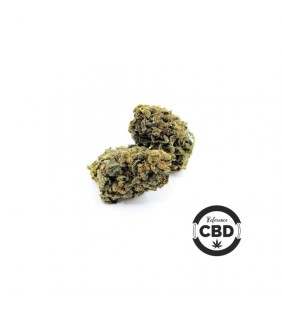 Fleur de CBD Royal Cheese - cannabis légal - cannabidiol