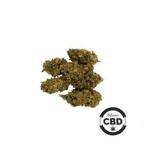 Fleur de CBD Gélato - Cannabis légal - grennhouse cannabinoide avec 0.2% de thc