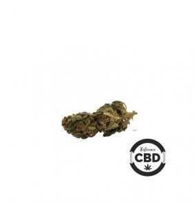 Fleur de cbd Gorilla Kush cannabis légal cannabinoïde en vente sur le site reference-cbd-image de fleur de CBD gorilla kush