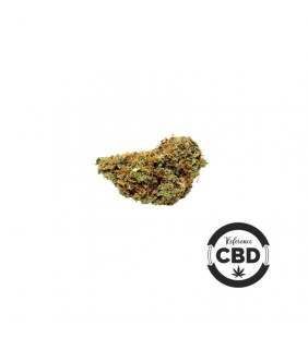 Fleur CBD orange buds - cannabis légal orange buds