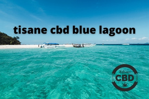 tisane cbd blue lagon