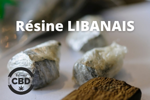 resine libanais cbd cannabidiol hash