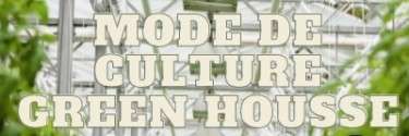 Green house CBD un mode de culture de qualité biologique