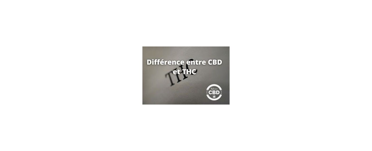 Quelles sont les différences entre l’effet du THC et du CBD ? 